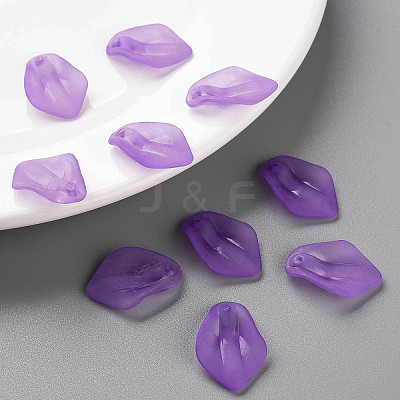 Transparent Frosted Acrylic Pendants MACR-S371-03A-747-1