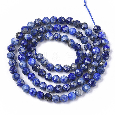Natural Lapis Lazuli Beads Strands G-S361-4mm-006-1
