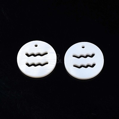 Natural Freshwater Shell Charms SHEL-N027-10E-1