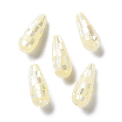 Natural White Shell Beads SSHEL-B002-10A-04-1