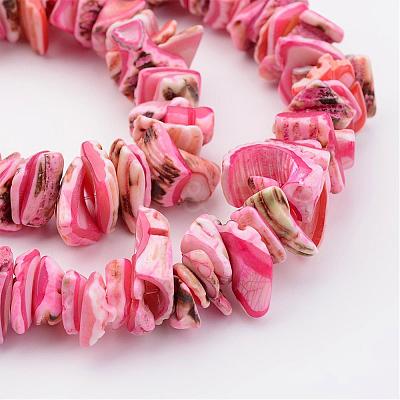 Natural Shell Bead Strands BSHE-P010-10-1