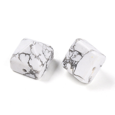 Natural Howlite Beads G-N345-02A-09-1