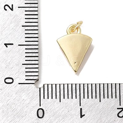 Brass Enamel Charms KK-P338-20G-03-1