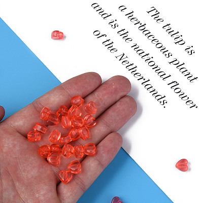 Transparent Acrylic Beads MACR-S373-95-B06-1
