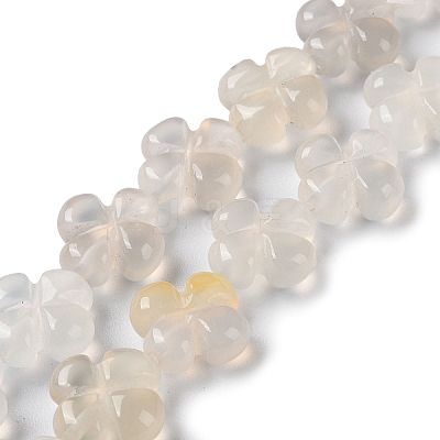 Natural White Agate Beads Strands G-M418-D03-01-1
