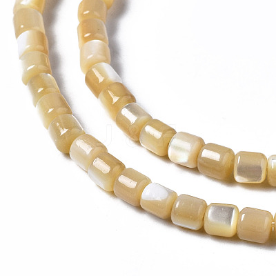 Natural Trochid Shell/Trochus Shell Beads Strands SSHEL-N034-77-B01-1