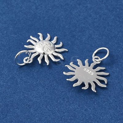 925 Sterling Silver Charms STER-NH0001-33S-1