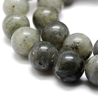 Natural Labradorite Bead Strands G-P256-01-12mm-1