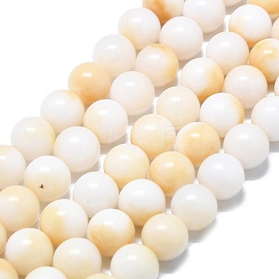 Natural Malaysia Jade Beads Strands G-L645-A01-10mm-28-1
