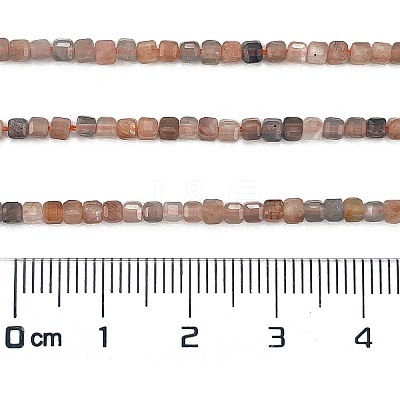Natural Multi-Moonstone Beads Strands G-L587-C05-02-1