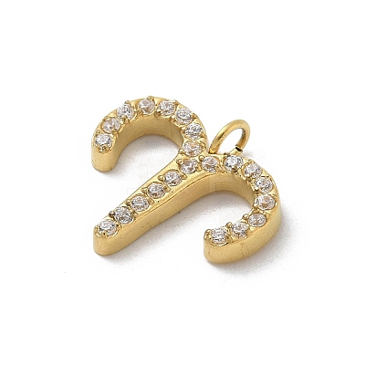 Ion Plating(IP) 304 Stainless Steel Micro Pave Cubic Zirconia Charms STAS-Z107-09G-02-1