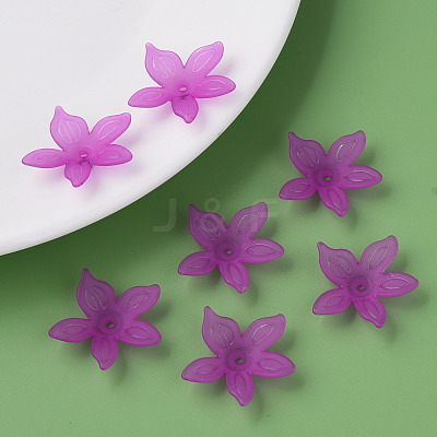 Transparent Acrylic Beads MACR-S373-127-D07-1