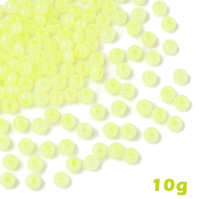 10G Glass Seed Beads SEED-YW0003-03F-1