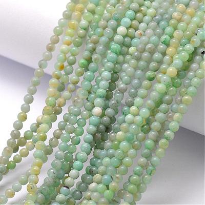 Natural Amazonite Bead Strands G-K146-09-3mm-1