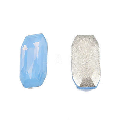 K9 Glass Rhinestone Cabochons MRMJ-N029-22-04-1