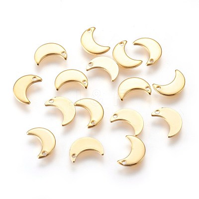 304 Stainless Steel Charms STAS-E447-08G-1
