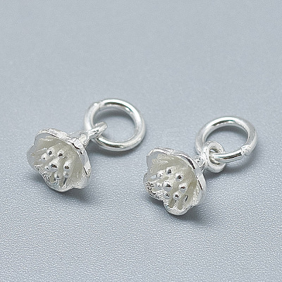 925 Sterling Silver Charms STER-T002-49S-1