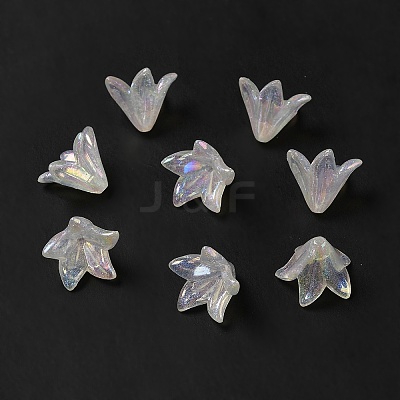 Transparent Acrylic Bead Caps LS-X-OACR-H016-03-1