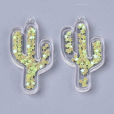 Transparent Acrylic Pendants TACR-R145-01-1