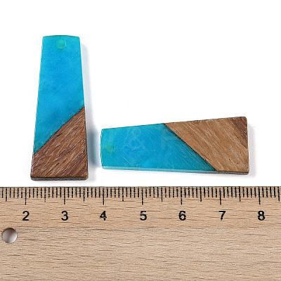 Resin & Wood Pendants WOOD-F015-04G-1