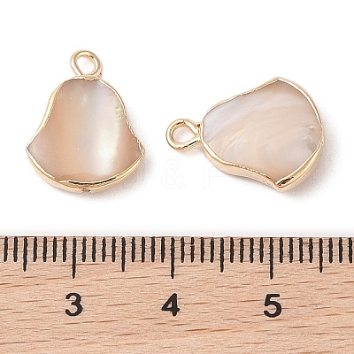 Natural Trochous Shell Pendants SHEL-P017-11G-1