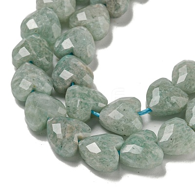 Natural Amazonite Beads Strands G-P544-E09-01-1