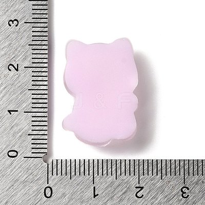 Translucent Resin Decoden Cabochons RESI-M039-03C-1