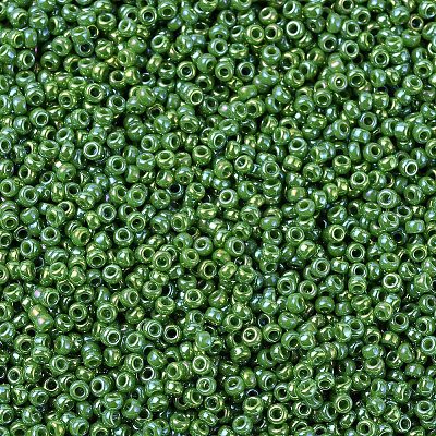 MIYUKI Round Rocailles Beads X-SEED-G007-RR0480-1