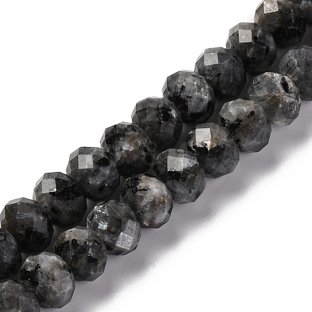 Natural Larvikite Beads Strands G-K380-A46-01-1