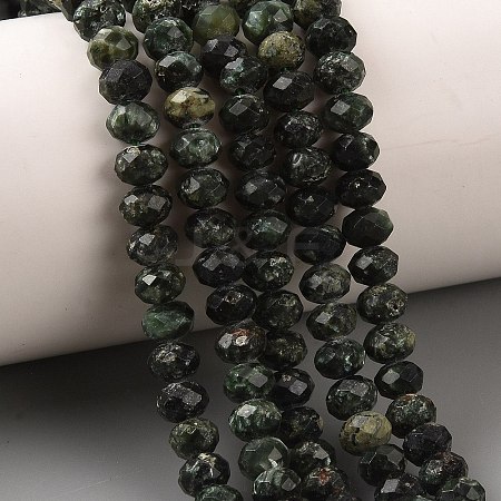 Natural Seraphinite Beads Strands G-K376-E06-4x6mm-1
