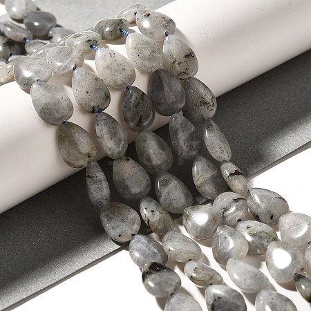 Natural Labradorite Beads Strands G-I377-A21-1