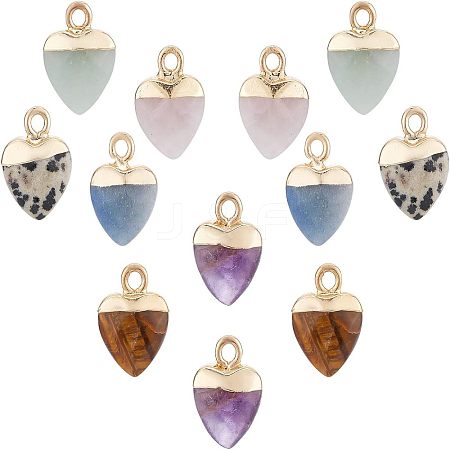  12Pcs 6 Styles Natural Gemstone Charms G-NB0003-74-1