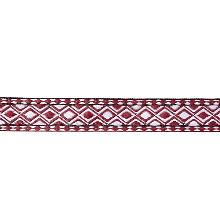 Ethnic Style Embroidery Polyester Ribbons SRIB-XCP0001-18-1