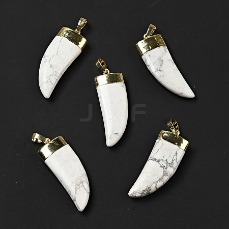 Natural Howlite Pendants G-P474-04G-01-1