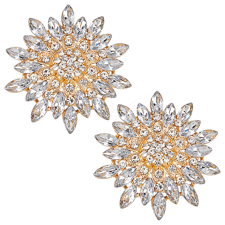 2Pcs Flower Alloy Brooches JEWB-FG0001-31B-1