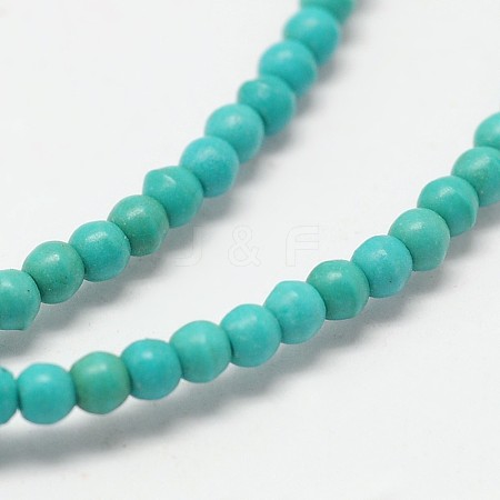 Dyed Synthetical Turquoise Round Bead Strand G-P083-3mm-92F-1