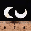 Natural Freshwater Shell Cabochons SHEL-S267-04B-4