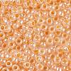 TOHO 8/0 Round Beads X-SEED-TR08-0904-2
