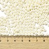 Baking Paint Luster Glass Seed Beads X-SEED-B001-04A-11-4