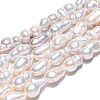 Natural Baroque Pearl Keshi Pearl Beads Strands X1-PEAR-S020-F10-01-3