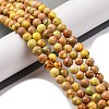 Dyed Natural Regalite/Imperial Jasper/Sea Sediment Jasper Beads Strands G-B124-C02-04-2