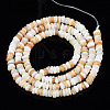 Natural Freshwater Shell Beads Strands SHEL-S278-067G-2