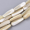 Natural Trochid Shell/Trochus Shell Beads Strands X-SSHEL-N032-02-1