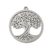 304 Stainless Steel Pendants STAS-V016-11P-1