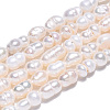Natural Cultured Freshwater Pearl Beads Strands X-PEAR-N012-04R-1