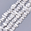 Electroplate Shell Pearl Beads Strands SSHEL-S261-01F-1