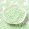 Baking Paint Glass Seed Beads SEED-B001-02A-11-2