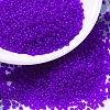 MIYUKI Round Rocailles Beads SEED-G007-RR0151F-1