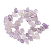Natural Amethyst Beads Strands G-P604-A09-01-5