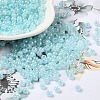 Glass Seed Beads SEED-H002-H-1304-1